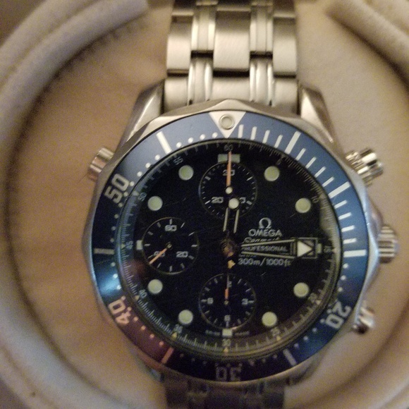 Meet your Posher, Sammy - Picture 5 of 6